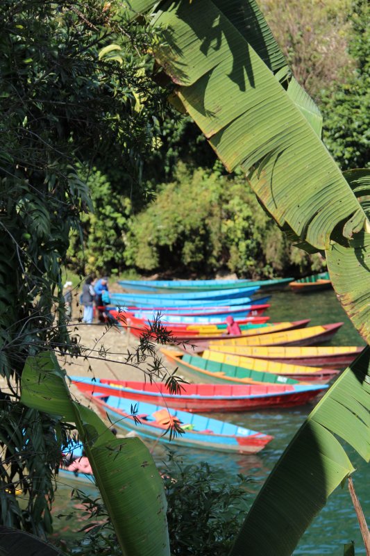 Pokhara rowing boats Rowing boats on the lakeshore