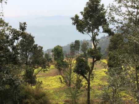 Sarangkot nature