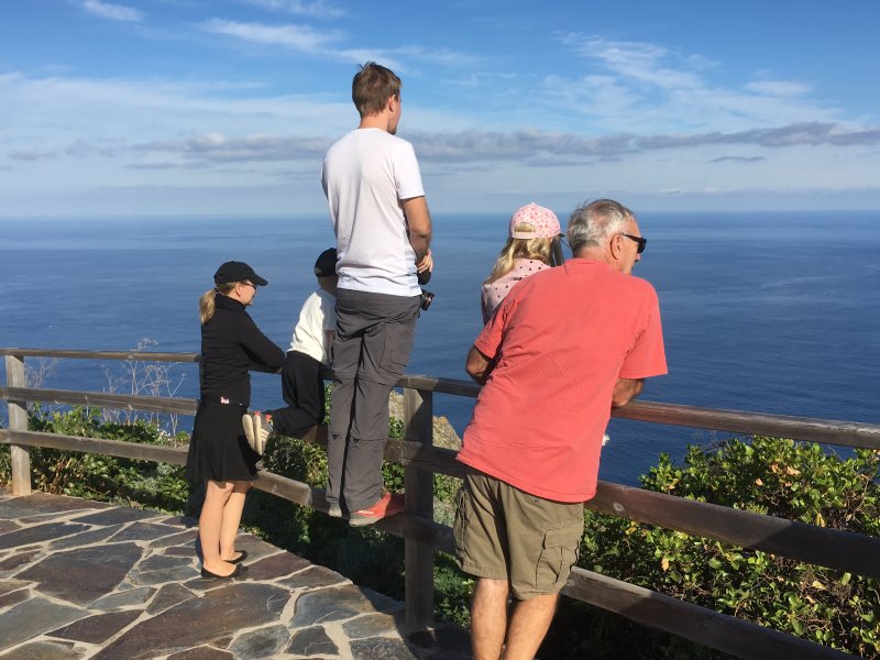 Stopping for views, Tenerife's north coast Stopping for views, Tenerife's north coast