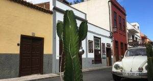 Garachico street and cactus