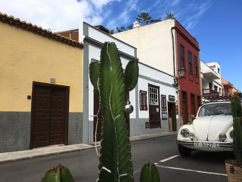 Driving around Tenerife: Garachico Garachico street and cactus