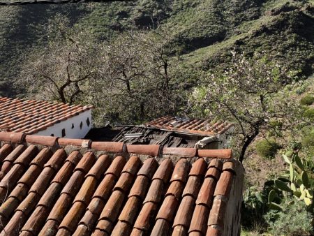 Masca roofs and fruit trees, Tenerife
