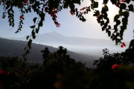 Mount Teide from La Orotava, Tenerife