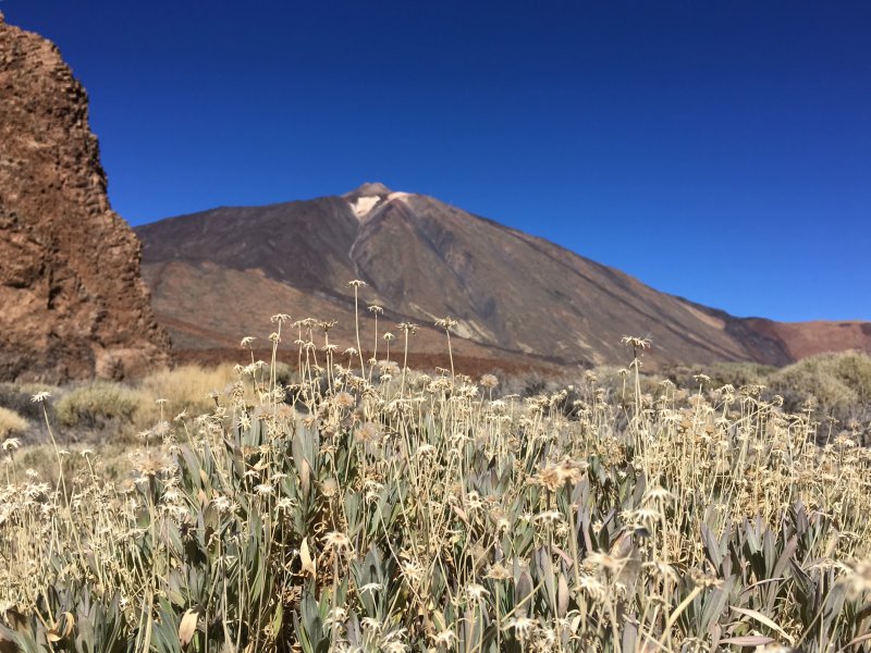 Mount Teide, 3718 m above sea level Mount Teide from the Roques de Garcia hike, Tenerife