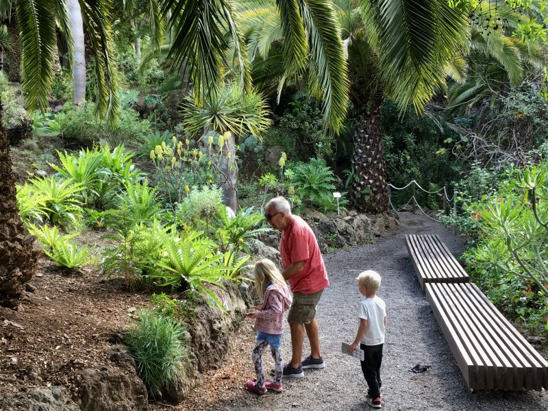 Parque del Drago, Icod de los Vinos Parque del Drago, Tenerife