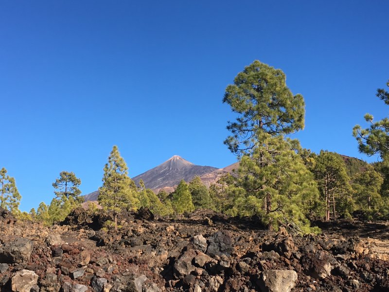 El Teide from the road to Chio and Tamaimo Parque Nacional del Teide, Tenerife