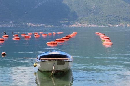 Bay of Kotor fishing boat