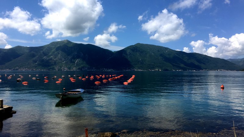 Boka Kotorska, Montenegro Bay of Kotor view towards Tivat peninsula