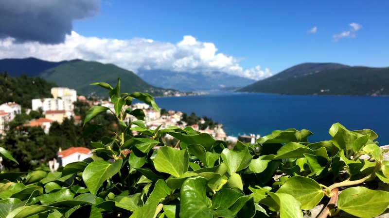 Herzeg Novi at the mouth of the Bay of Kotor Herzeg Novi view to the Bay of Kotor