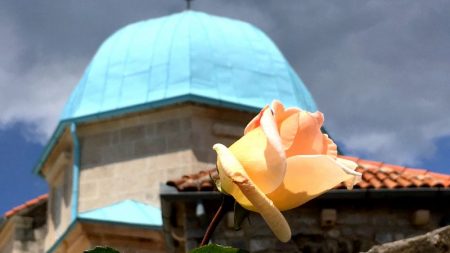 Our Lady of the Rock and a rose