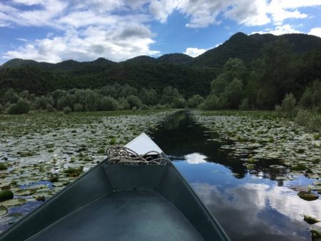Boat cruise in Skadar Lake National Park