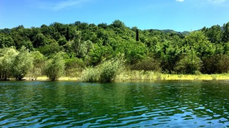 Boat cruising in Skadar Lake National Park
