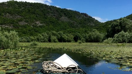 Boat trip in Lake Skadar National Park