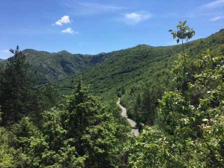 Road from Cetinje to Rijeka Crnojevica