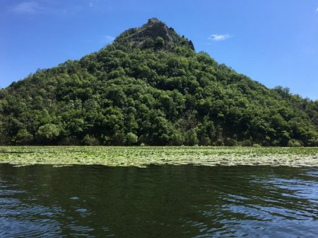 Skadar Lake river bend seen from boat cruise