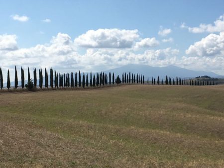 Italy by train and car: Crete Senesi cypress row
