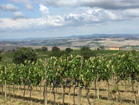 Italy by train and car: driving around Tuscany