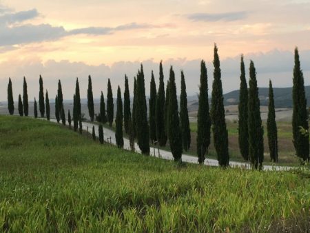 Italy by train and car: Val d'Orcia cypresses