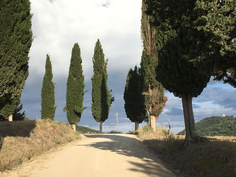 Touring Tuscan country roads by rental car Touring Tuscan country roads by rental car