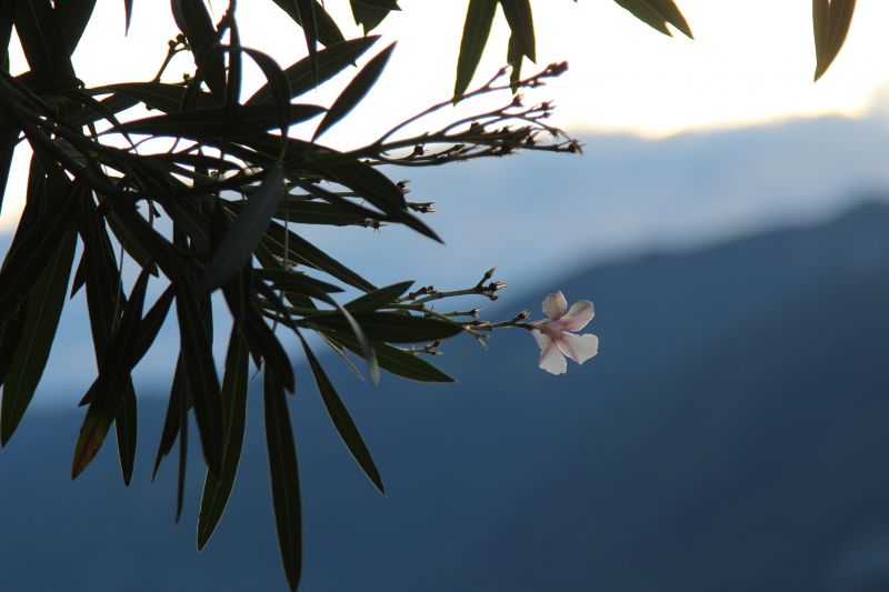 Lake Como evening