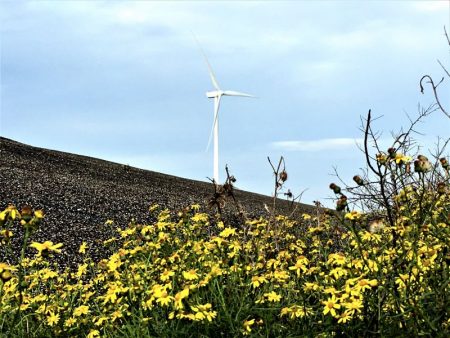 River cruising through Belgium and the Netherlands: Oosterschelde windmill