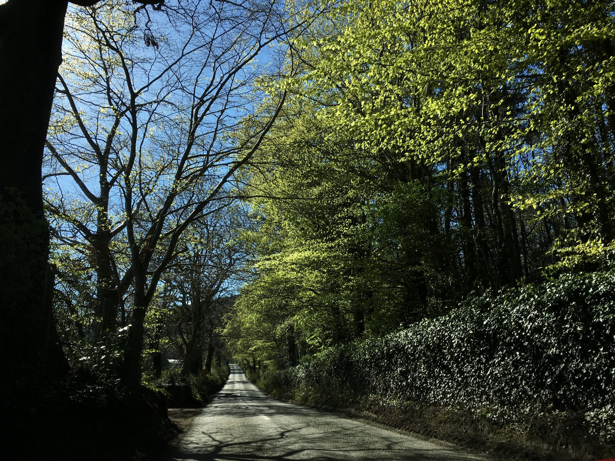 Driving through Wicklow Mountains Driving through Wicklow Mountains