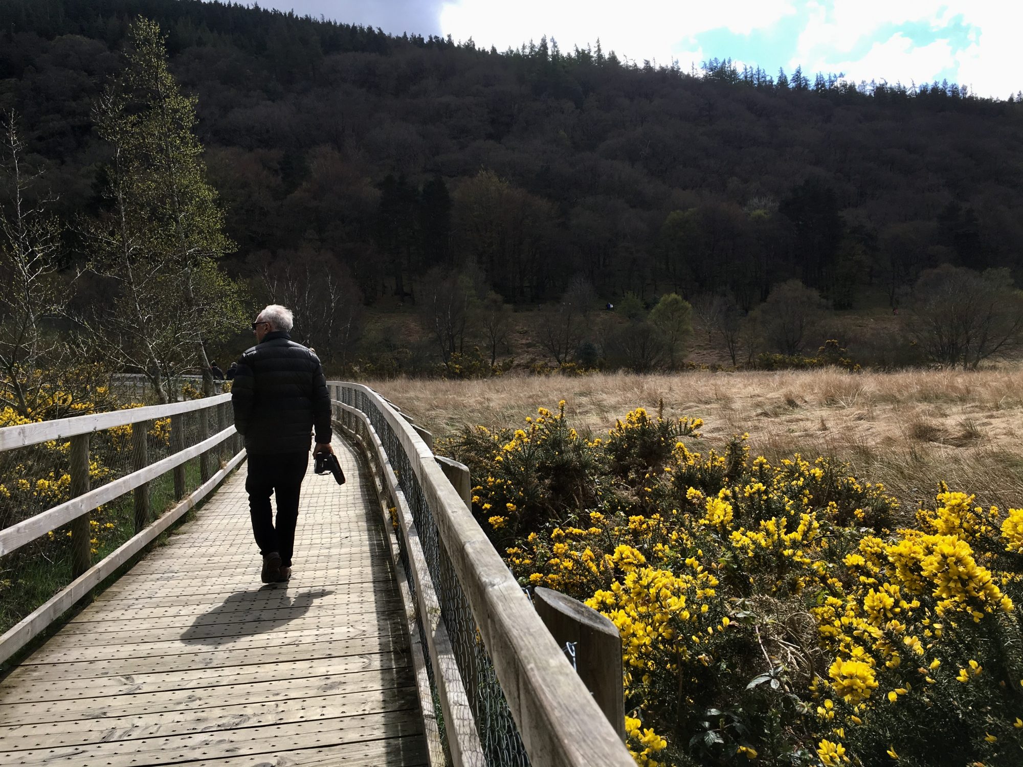 A Glendalough boardwalk A Glendalough boardwalk