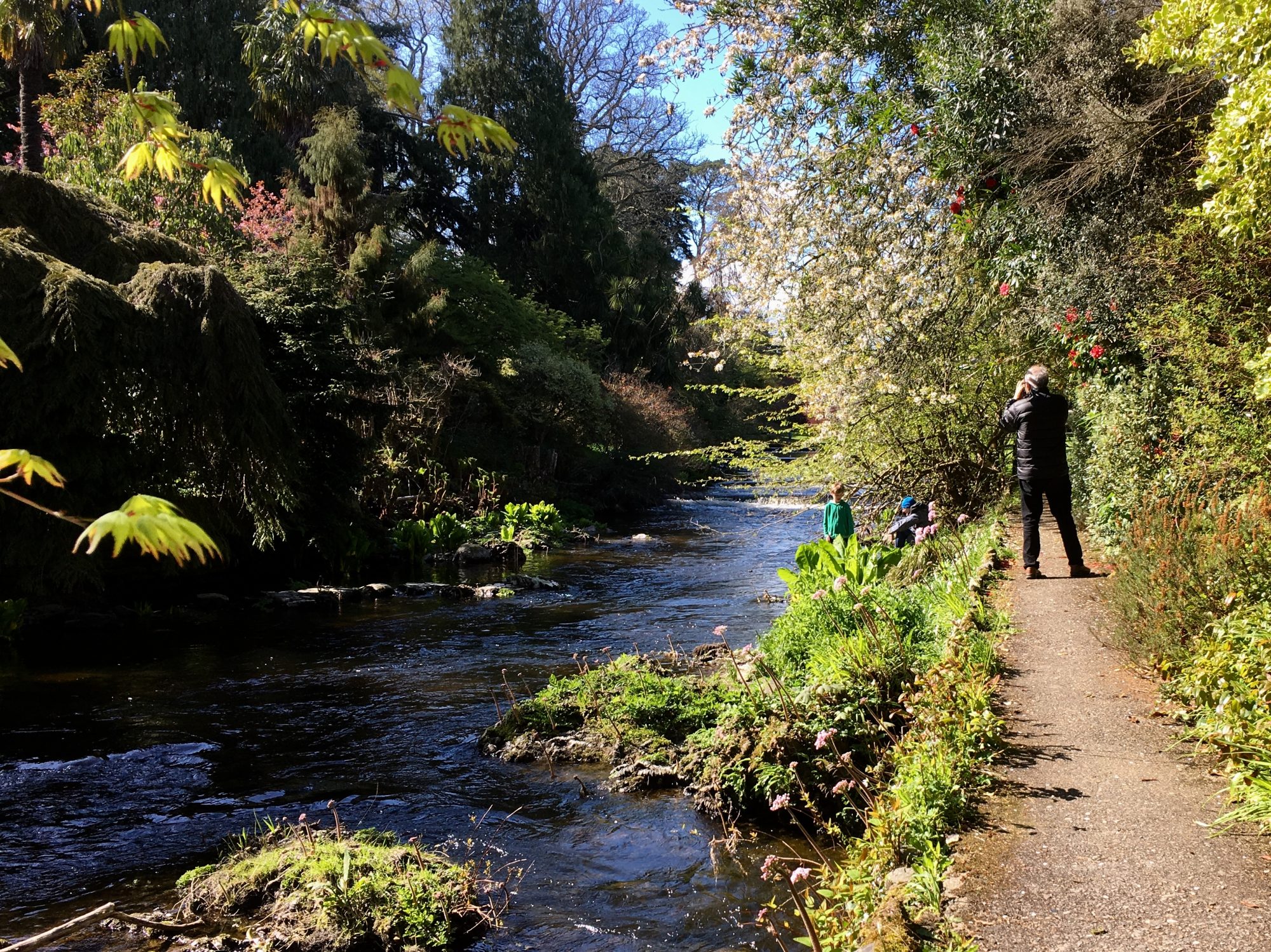 Mount Usher riverside gardens in Wicklow Mount Usher riverside gardens in Wicklow