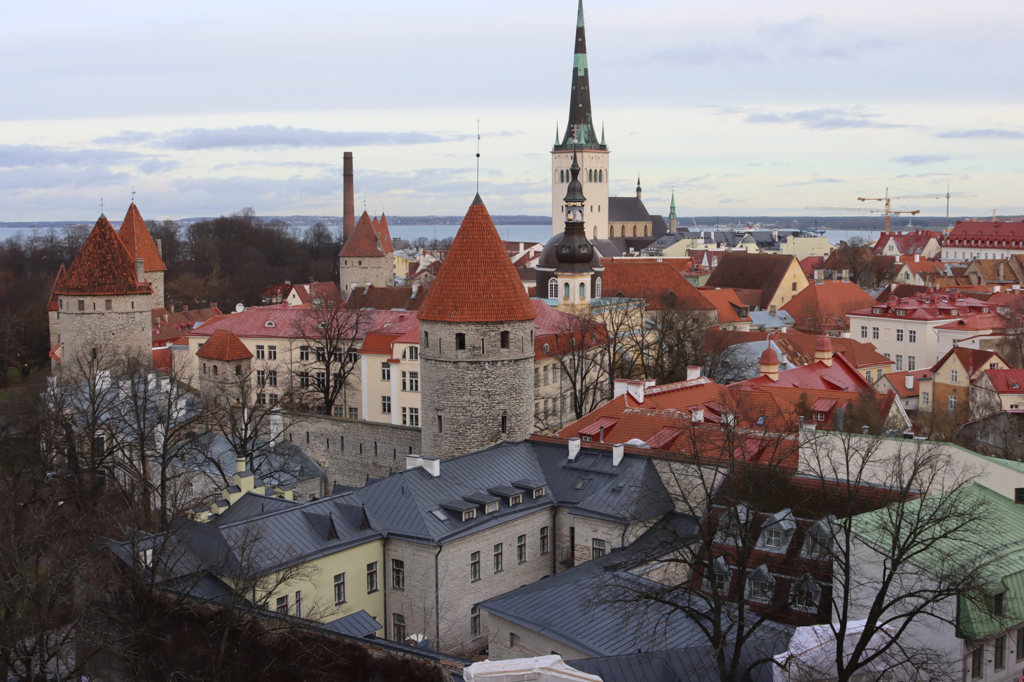 Tallinn seen from Toompea Hill