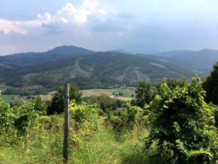 Driving in the hills, looking for Italy's prettiest villages