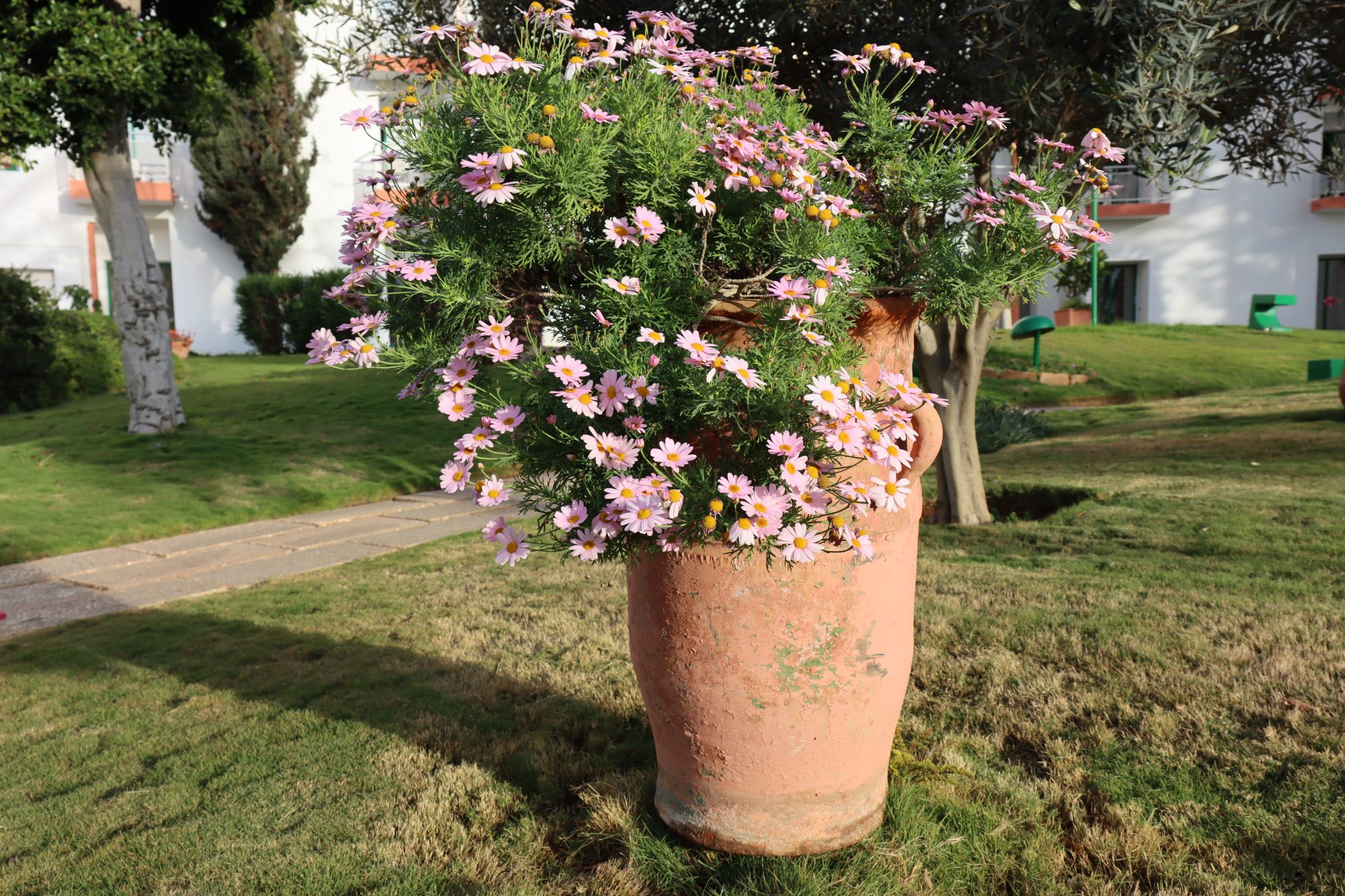 Agadir hotel garden Agadir hotel garden