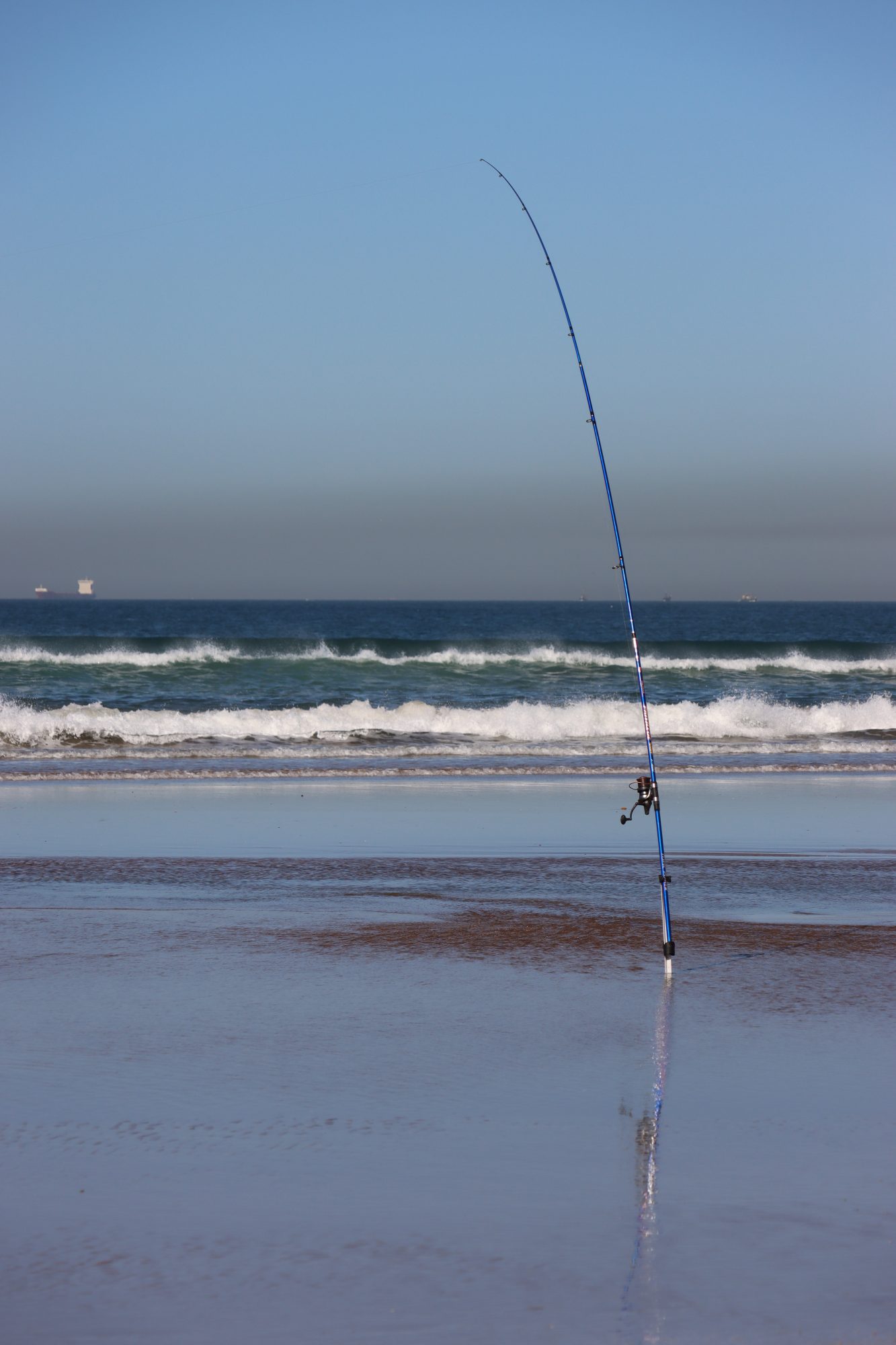 Getting any ocean fish today? Angling from the beach