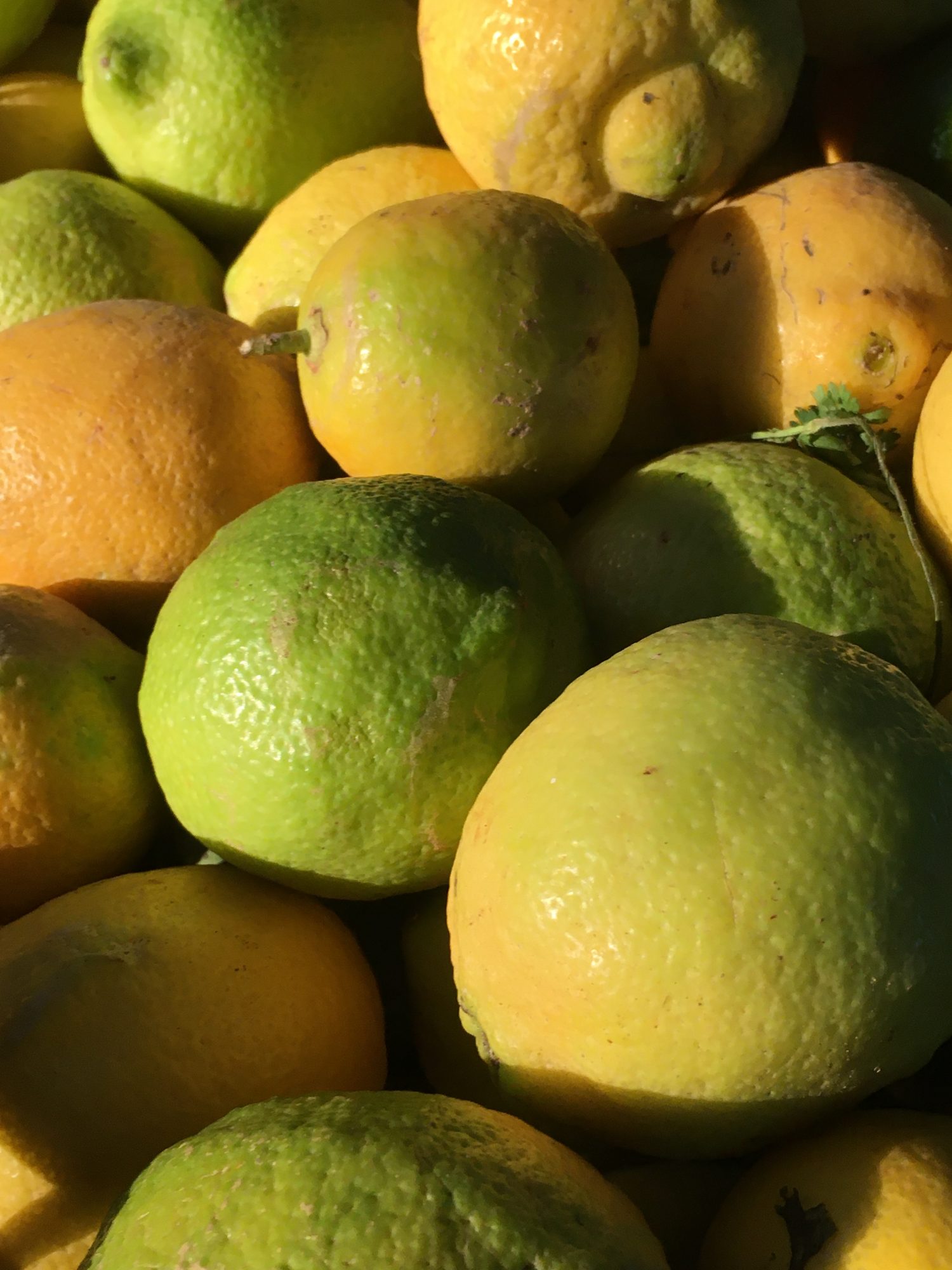 Fresh local fruit for sale Fresh local fruit for sale