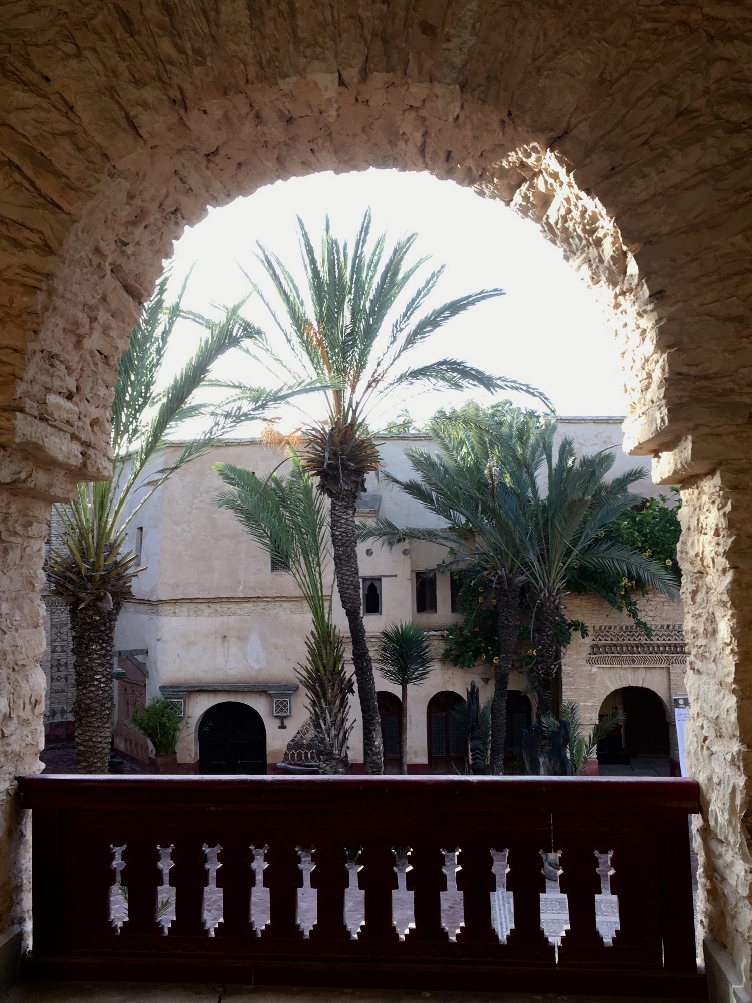 Palms of Agadir Medina by Coco Polizzi Palms of Agadir Medina by Coco Polizzi