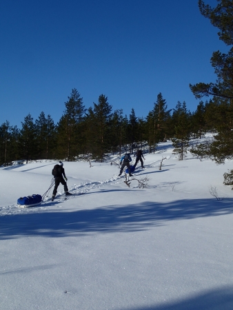 Ski tour in Lapland, skiing uphill in Sudenpesä