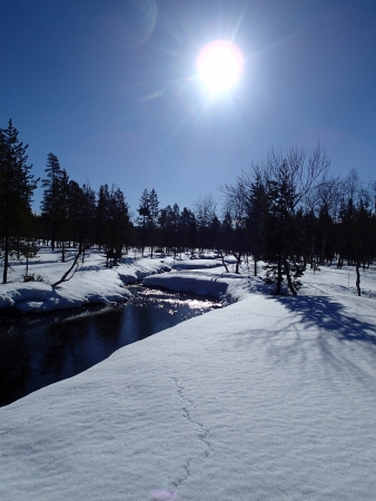 Ski tour in Lapland, Urho Kekkonen National Park