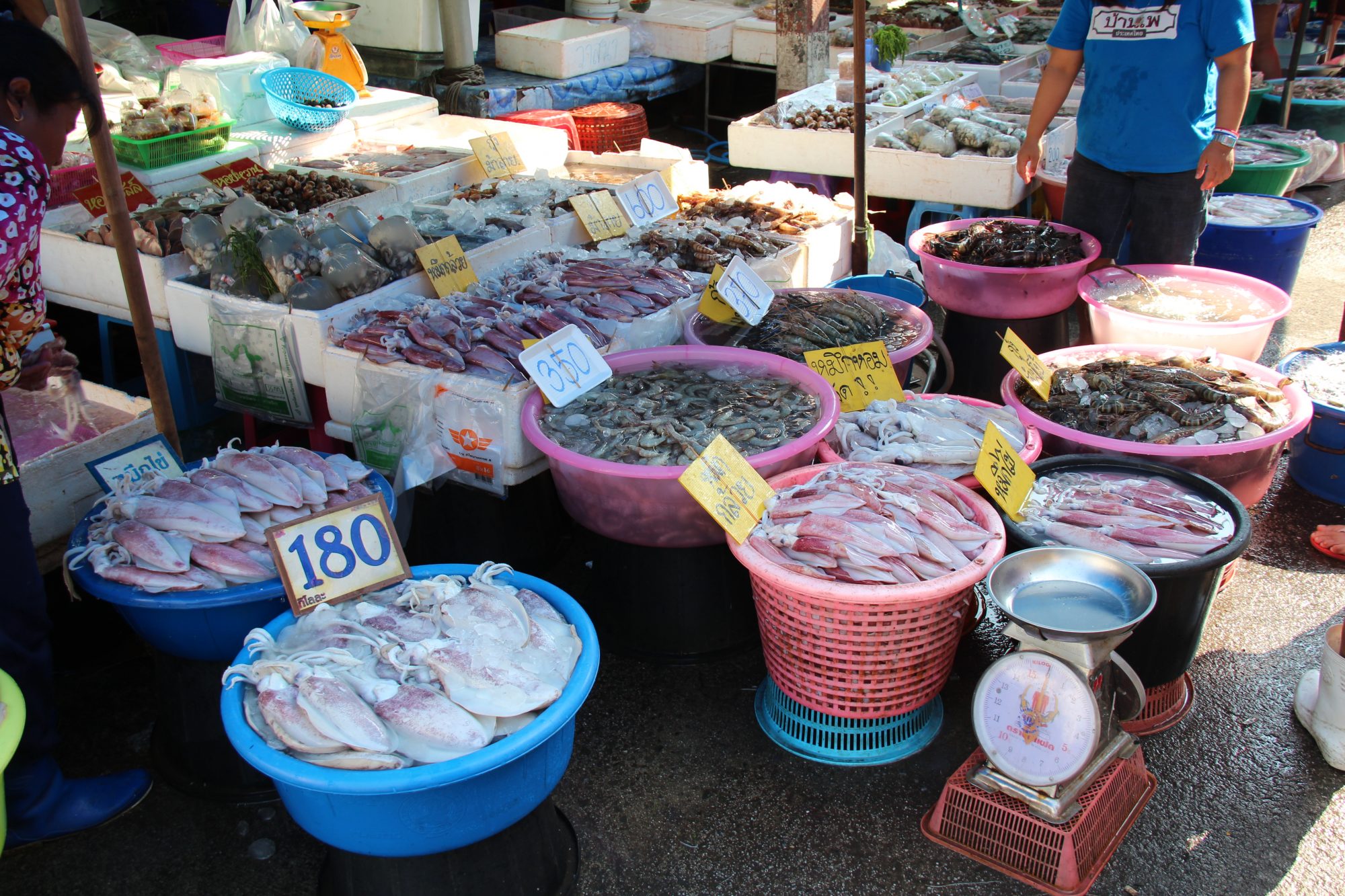 Fresh seafood for sale in a Thai fishing village