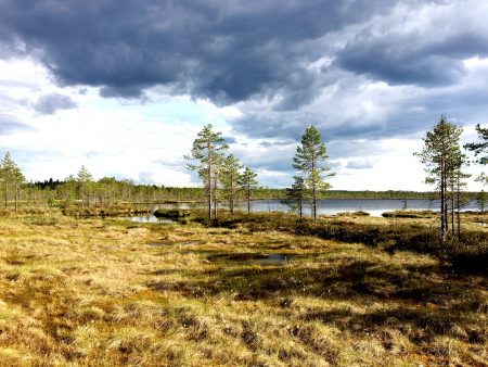 Ostrobothnia road trip: -Pohjankangas National Park