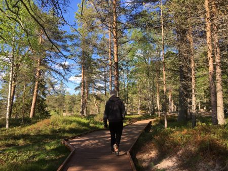 Ostrobothnia road trip in a motorhome: Fäboda boardwalk