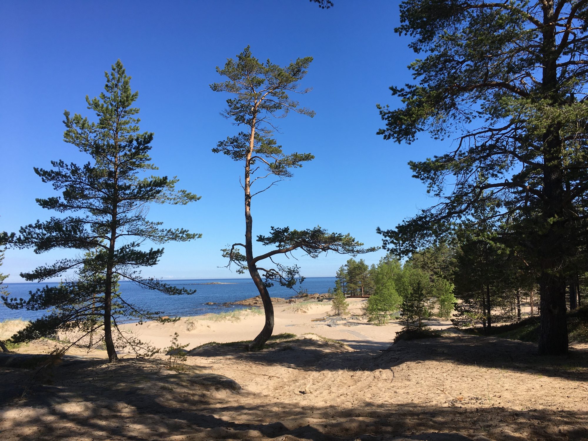 On the sands of Fäboda, Jakobstad Ostrobothnia road trip in a motorhome: sand dunes of Fäboda