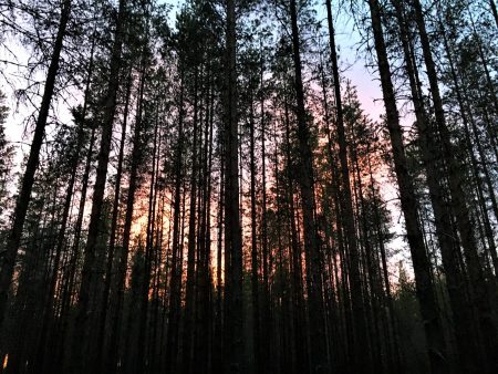 Staying overnight in Kauhaneva-Pohjankangas National Park