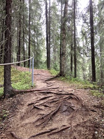 The ridge trail of Katikan kanjoni, Ostrobothnia