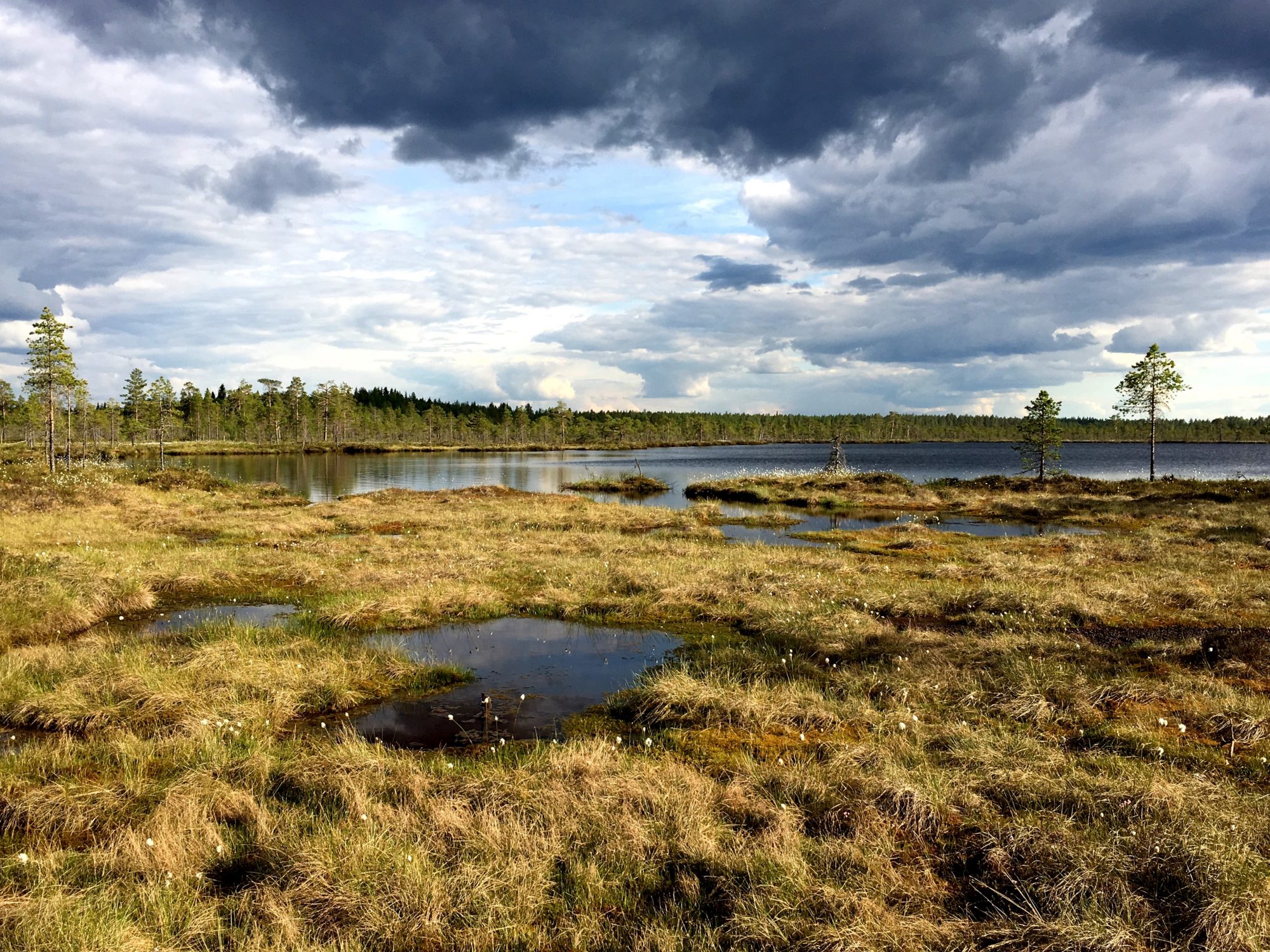 Kauhaneva, one of Finland's 40 national parks Kauhaneva, one of Finland's 40 national parks
