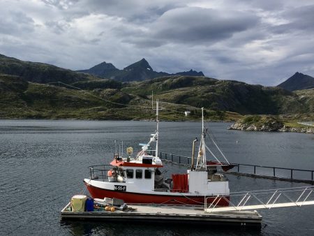 One of the many Lofoten fjords