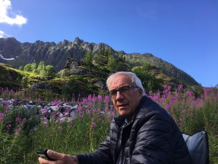 Roadside stop in the Lofoten Islands