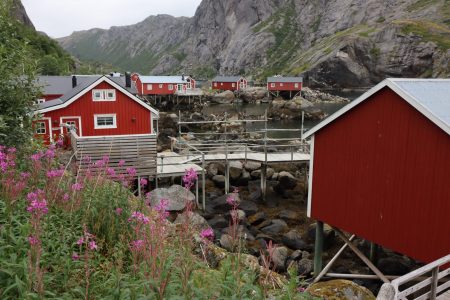 Nusfjord fishing huts, Lofoten