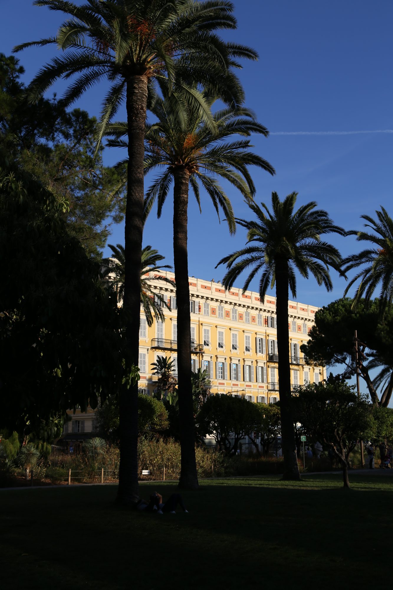 Palms of Promenade des Anglais, Nice Nice in one day: palms of Promenade des Anglais