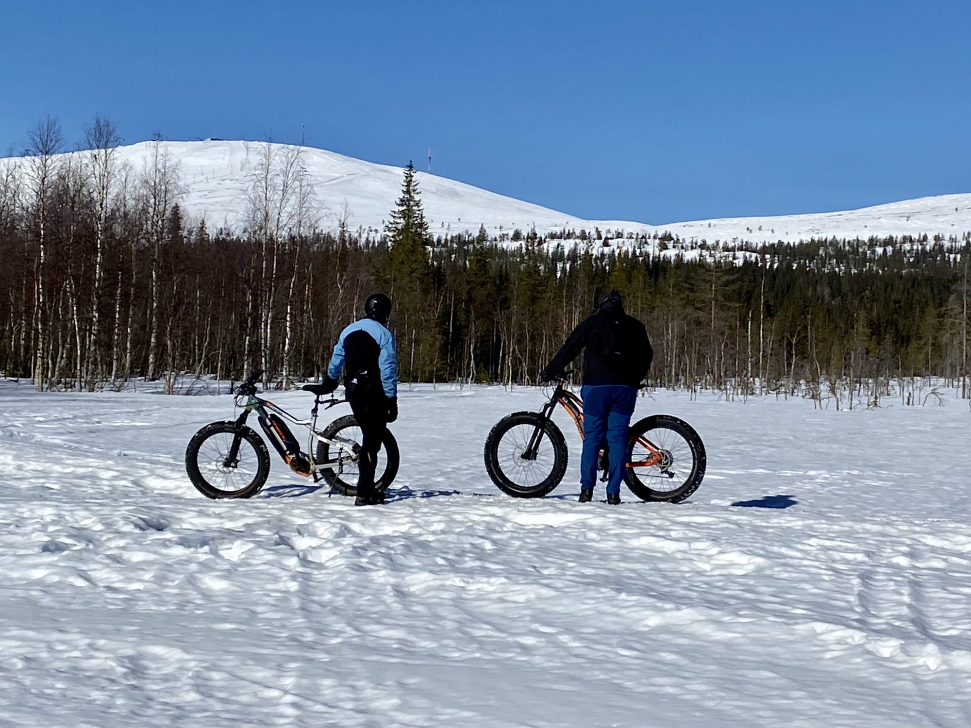 Arctic Lapland spring: fatbiking in the fells