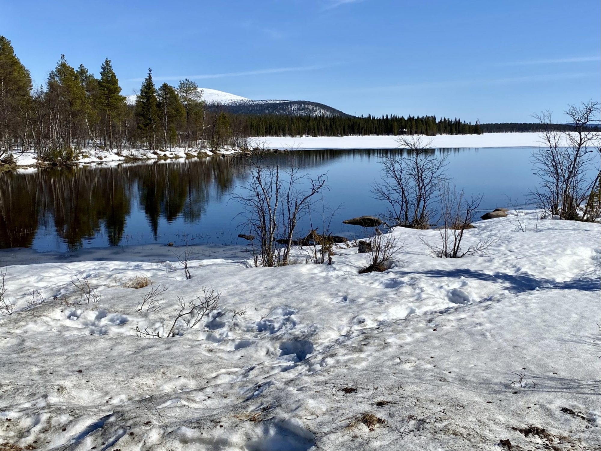 Arctic Lapland spring in Pallas-Yllästunturi National Park