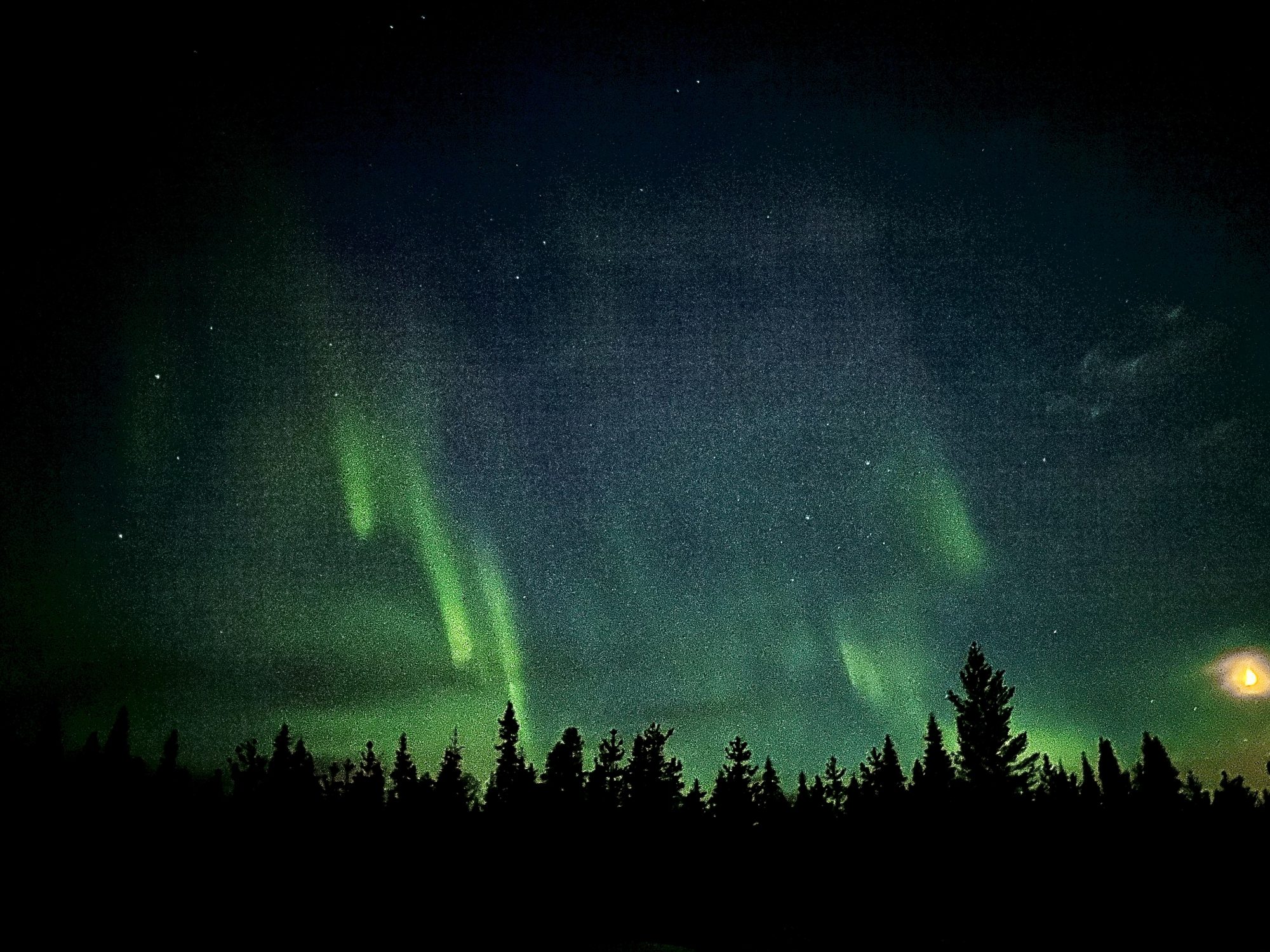 Northern lights dancing in the night sky The arctic Lapland: northern lights and stars